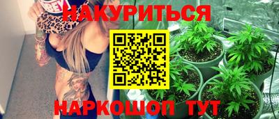 крисы Коммунар