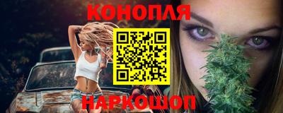 крисы Коммунар