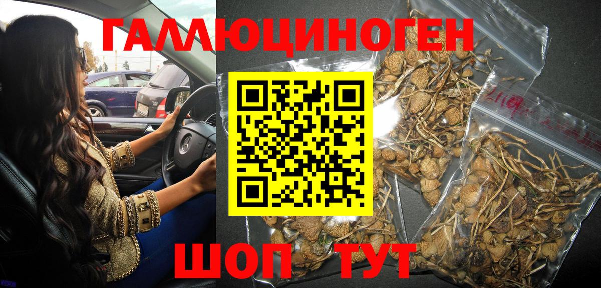 Галлюциногенные грибы ЛСД Кубинка