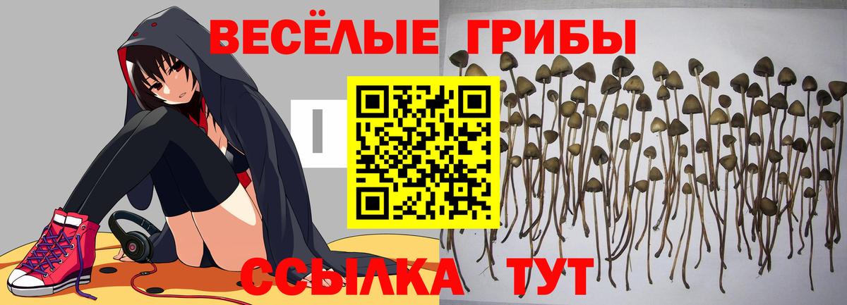 Кубинка  Канабис  COCAIN  Вход с VPN  Меф МЯУ МЯУ кристаллы  Гашиш  ЭКСТАЗИ 